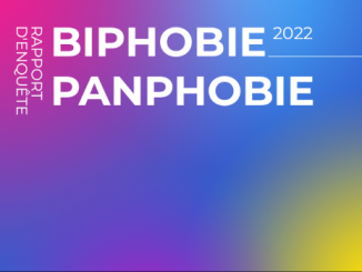 dégradé de couleur - texte Rapport d'enquête biphobie Panphobie 2022